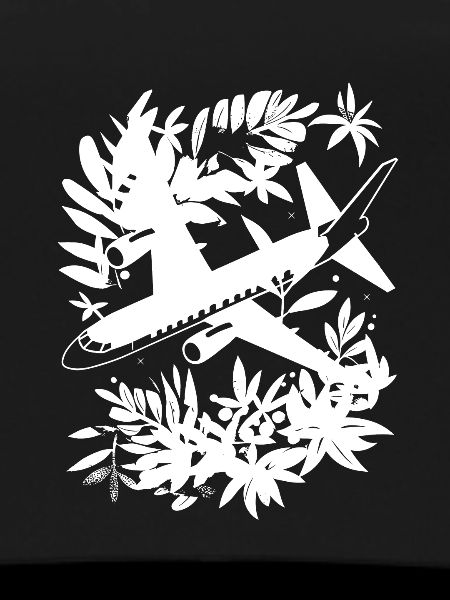 Airplane Comic Style