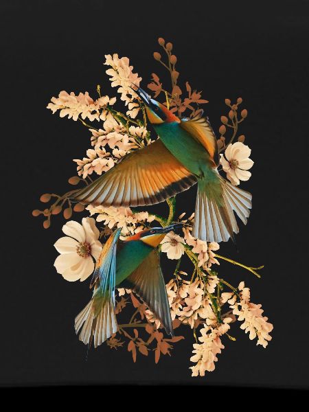 Nature Collage