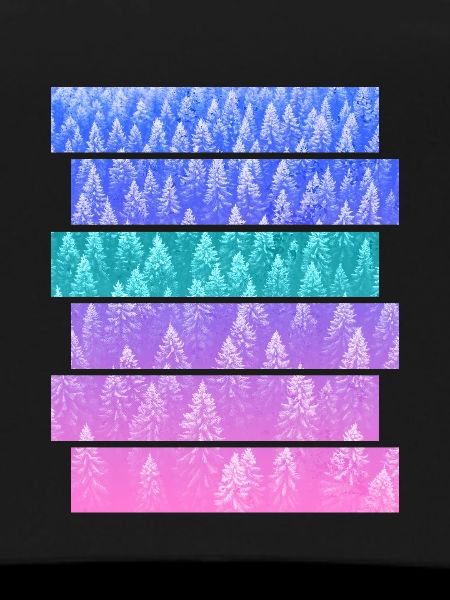 Sapin
