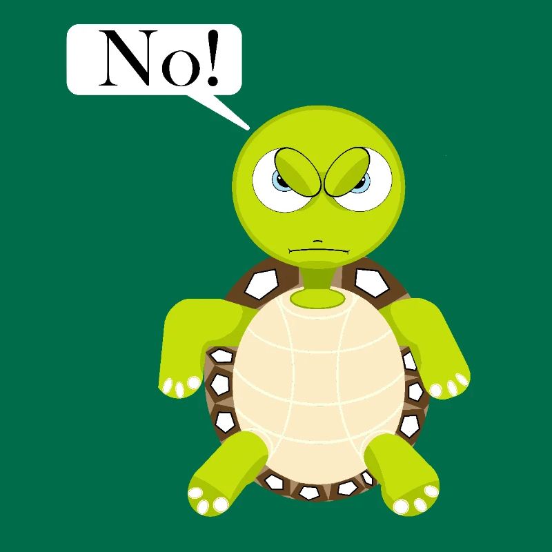 Statement No Turtle, No Fun Comic, No