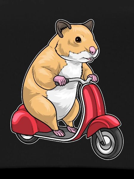 Hamster Scooter