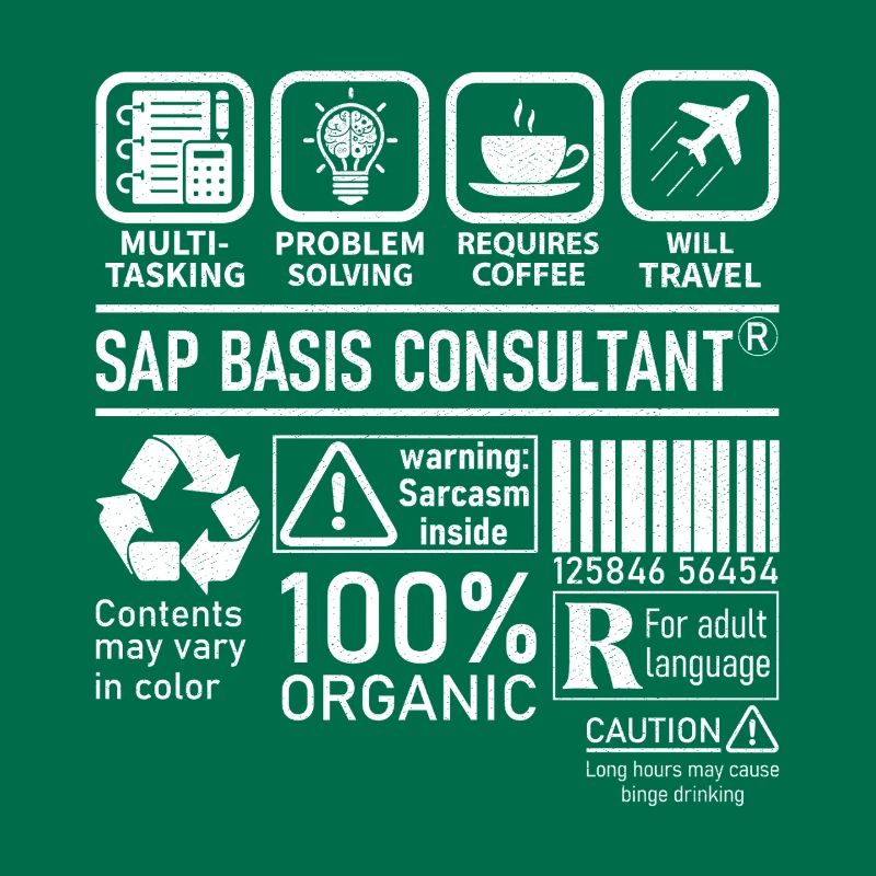 Sap Basis Consultant multi tasking problem solving