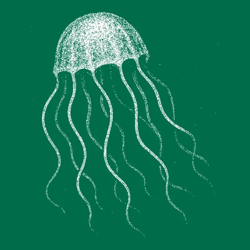 Jellyfish