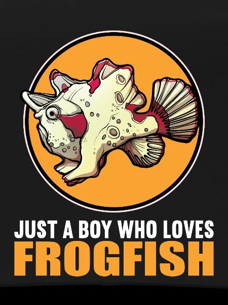 Poisson-grenouille Anglerfisch