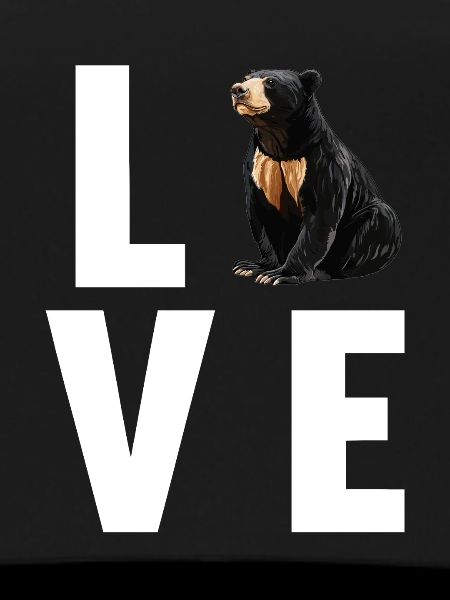 Sun Bear Malay Bear