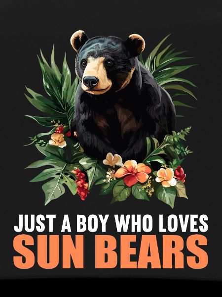 Sun Bear Malay Bear