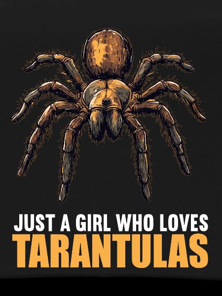 Tarantulas Tarantula