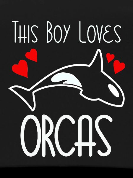 This Boy Loves Orcas