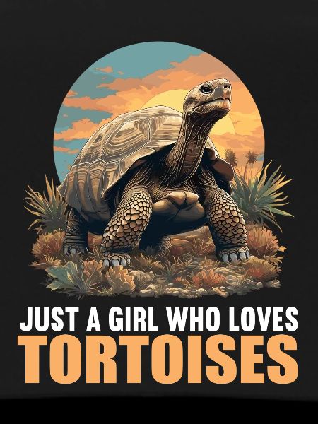 Tortoises Tortoise