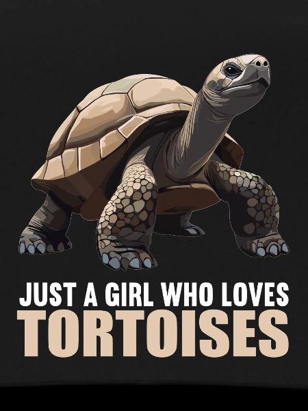 Tortoises Tortoise
