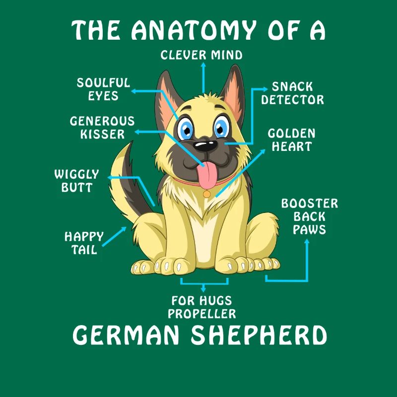 Anatomie eines Deutschen Schäferhundes
