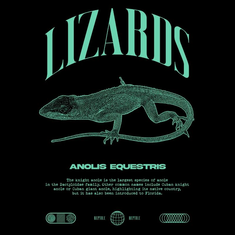 Kubanischer Ritter Anole Reptilienhalter Eidechse