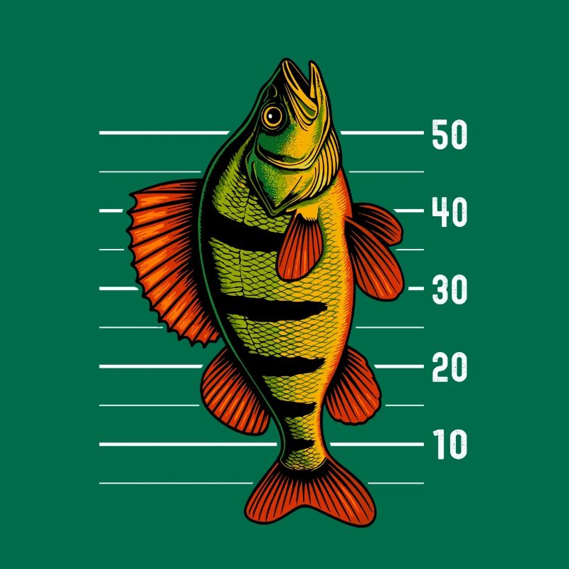 Perch Perch Perch Perch Bait
