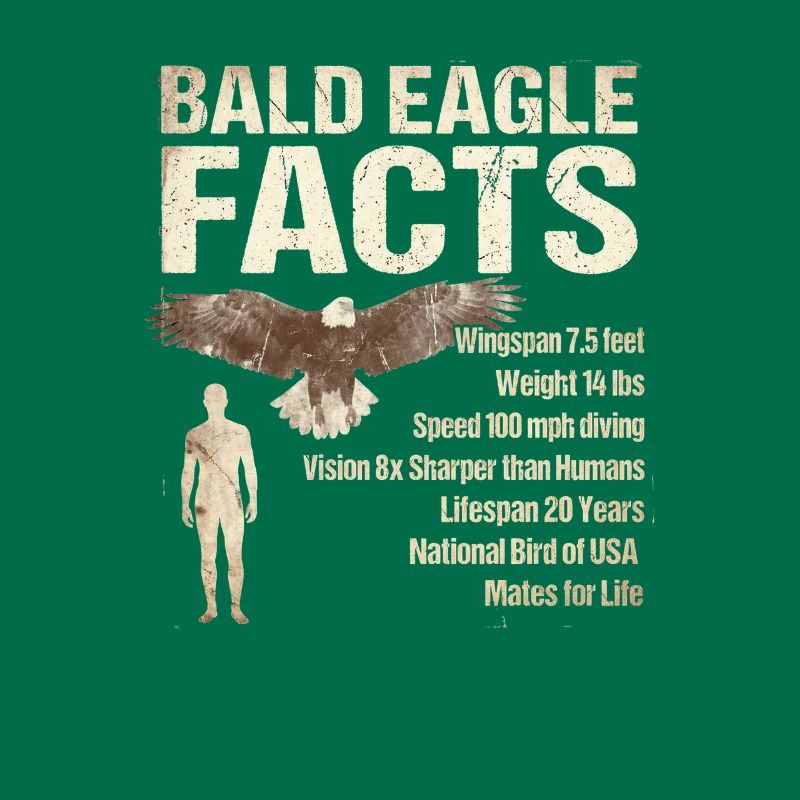 Bald Eagle Facts Bald Eagle Info