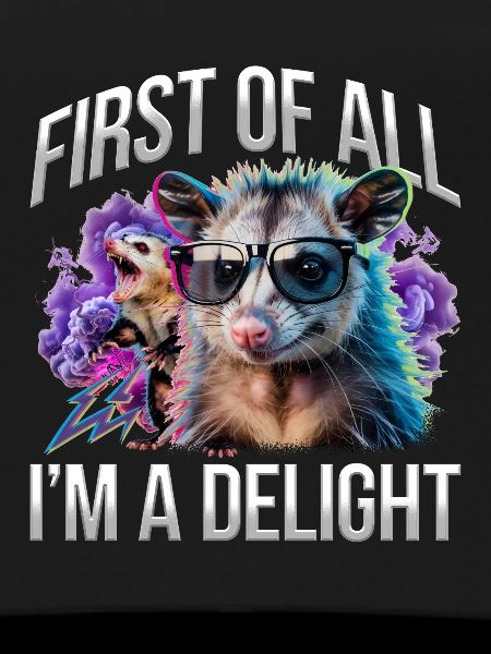 Funny Opossum
