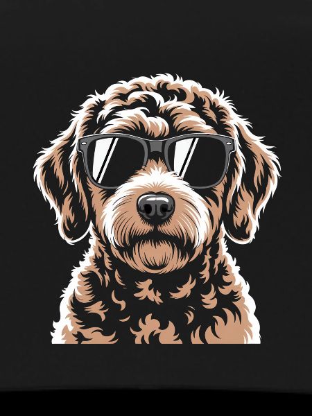 Brown Labradoodle
