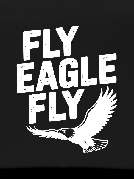 Fly Eagle Fly