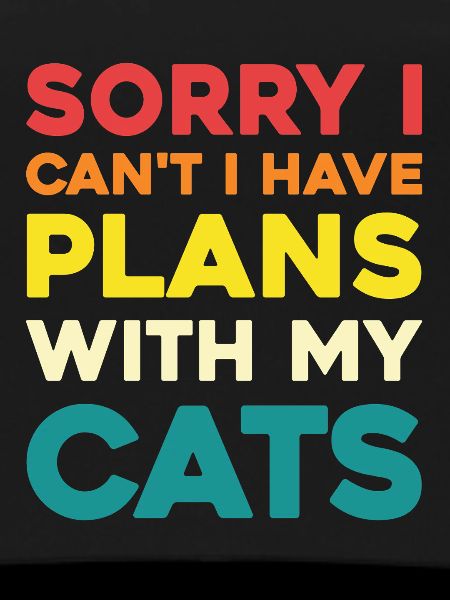No plans without cats