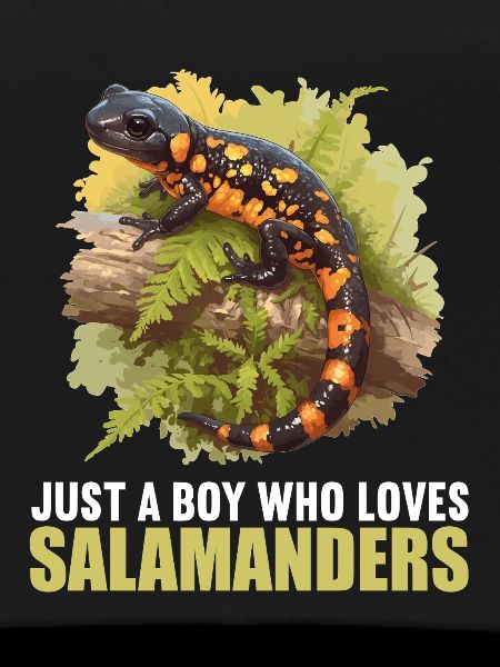 Feuersalamander Salamander