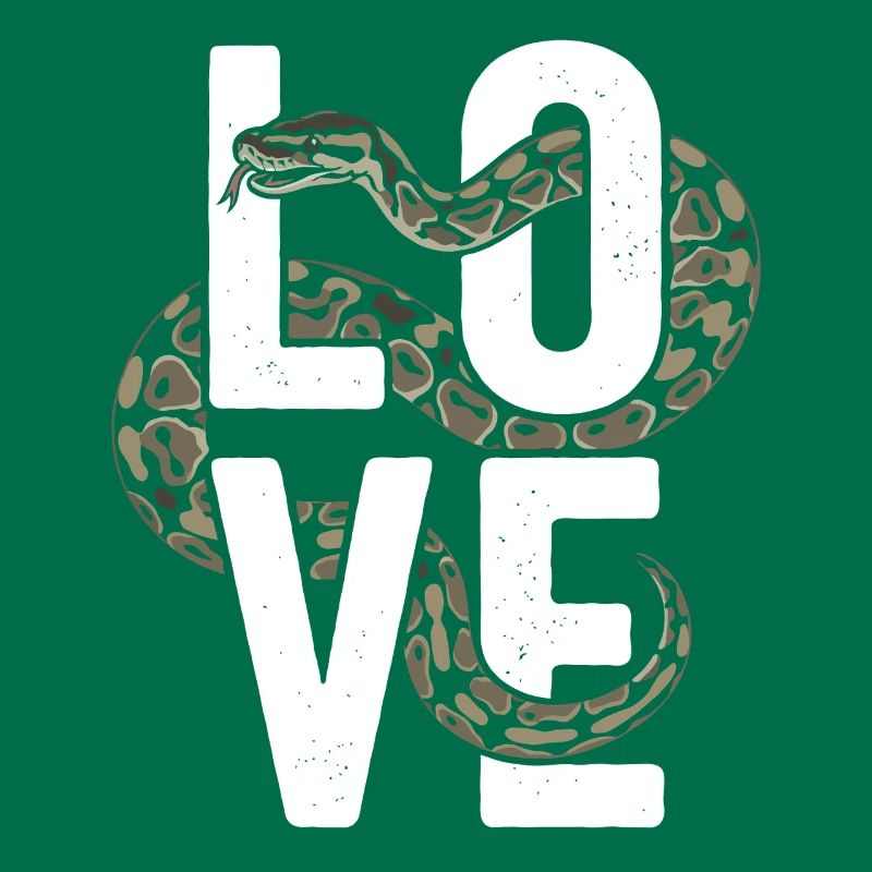 Königspython Schlangen LOVE Terrarium Python