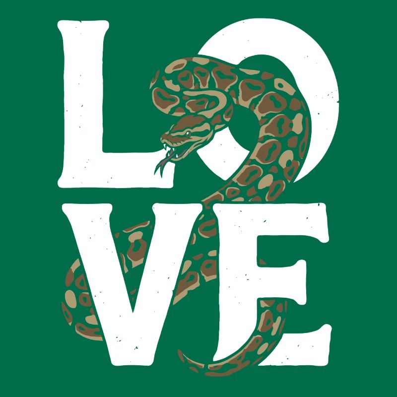 Königspython Schlangen LOVE Terrarium Python