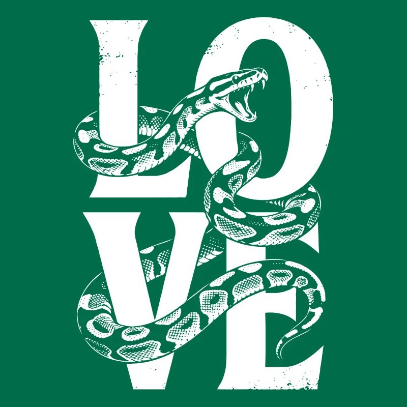 Les serpents rois Python ADORENT les pythons de terrarium