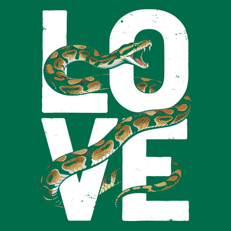 Königspython Schlangen LOVE Terrarium Python