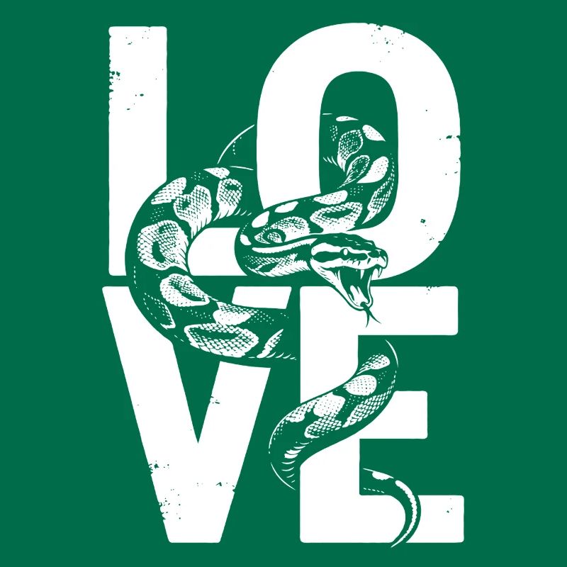 Königspython Schlangen LOVE Terrarium Python