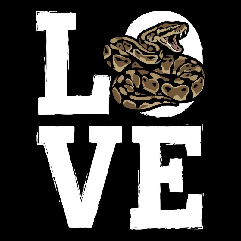 Königspython Schlangen LOVE Terrarium Python