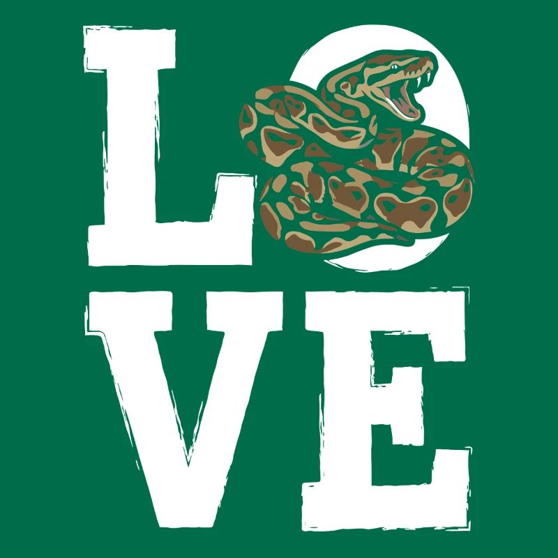 Königspython Schlangen LOVE Terrarium Python