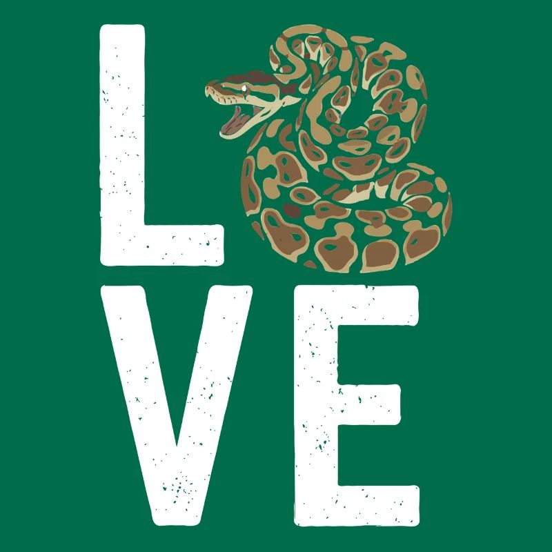 Königspython Schlangen LOVE Terrarium Python