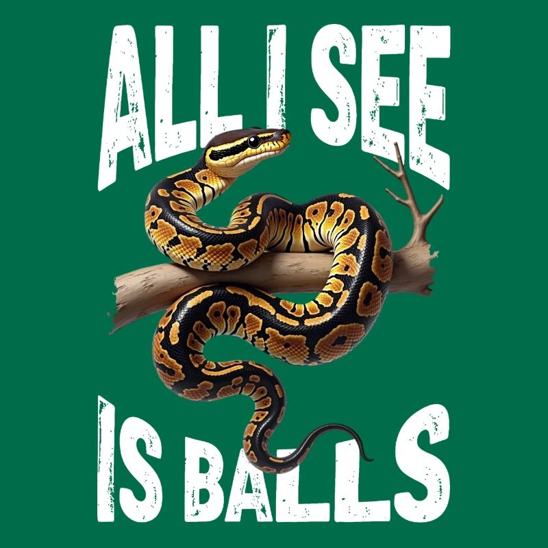 Python roi Serpents Amateurs de terrarium Python