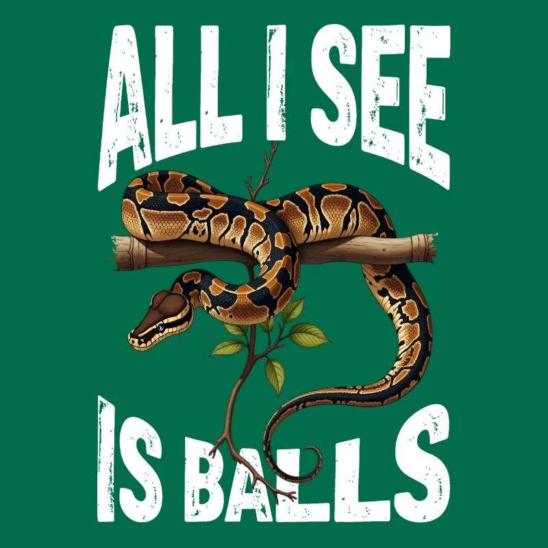 Python roi Serpents Amateurs de terrarium Python