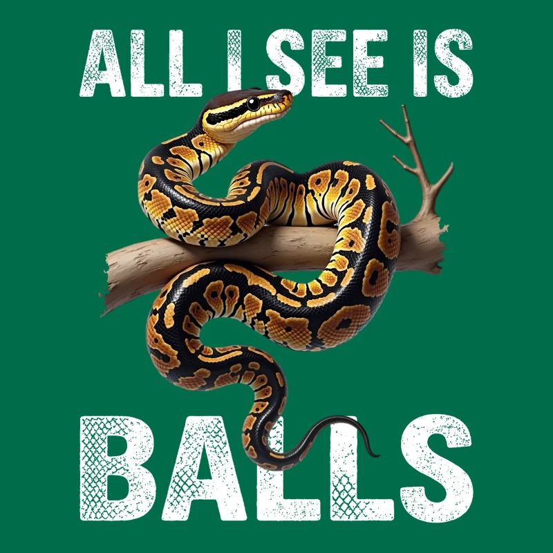 Python roi Serpents Amateurs de terrarium Python