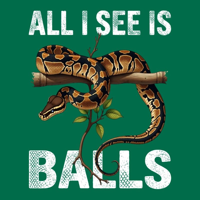 Königspython Schlangen Liebhaber Terrarium Python