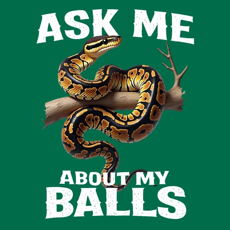 King Python Snakes Lover Terrarium Python