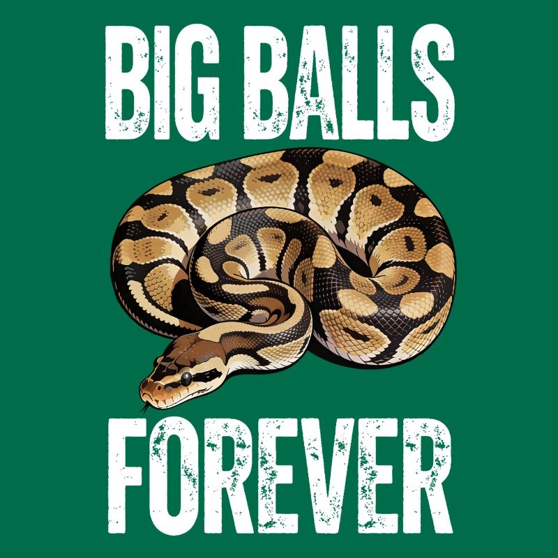 Python roi Serpents Amateurs de terrarium Python