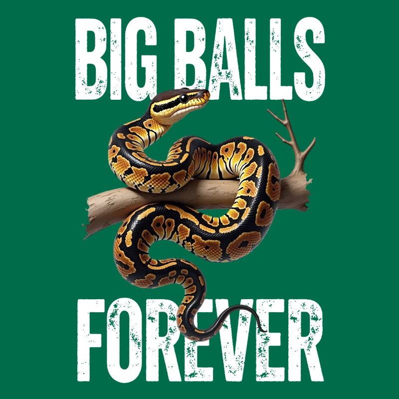 Python roi Serpents Amateurs de terrarium Python