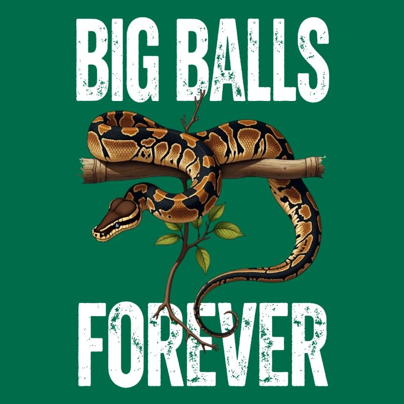 King Python Snakes Lover Terrarium Python