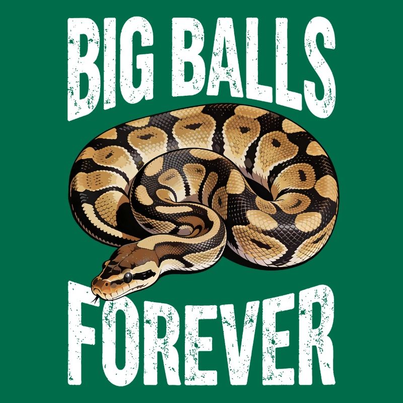 Python roi Serpents Amateurs de terrarium Python