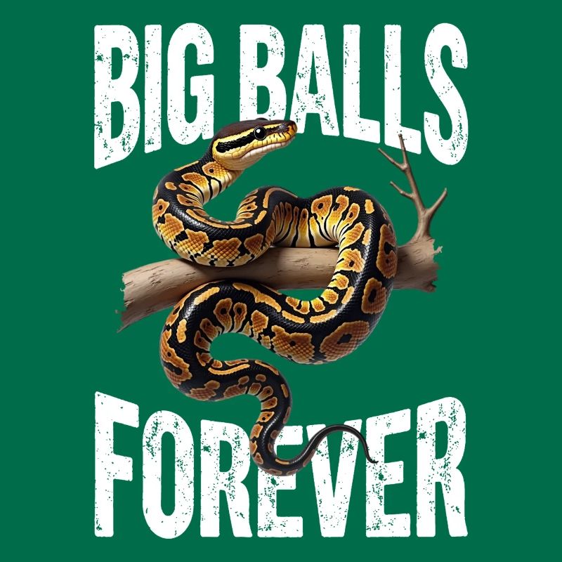 Python roi Serpents Amateurs de terrarium Python