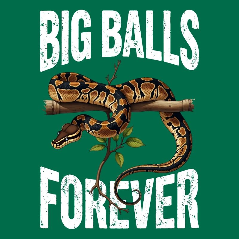 Python roi Serpents Amateurs de terrarium Python