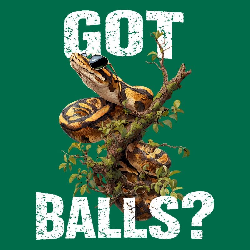 Python roi Serpents Amateurs de terrarium Python