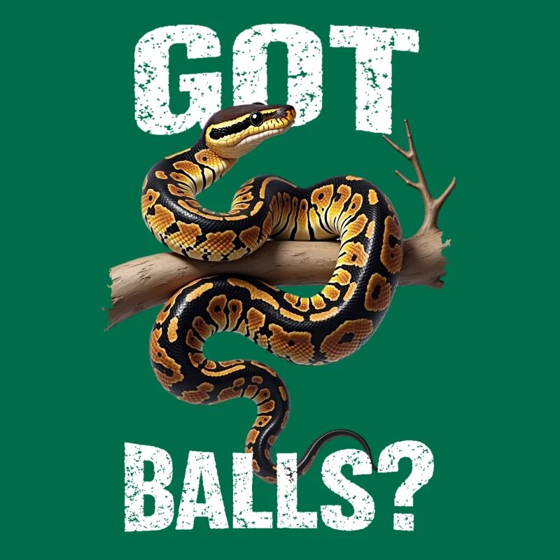 Python roi Serpents Amateurs de terrarium Python