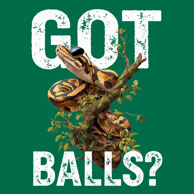 Python roi Serpents Amateurs de terrarium Python