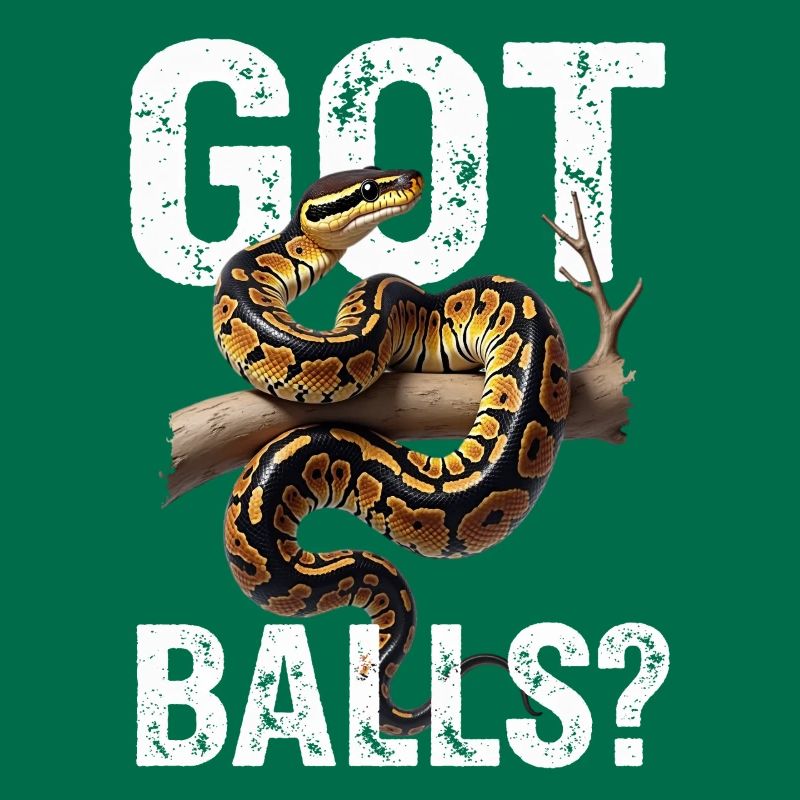 Python roi Serpents Amateurs de terrarium Python