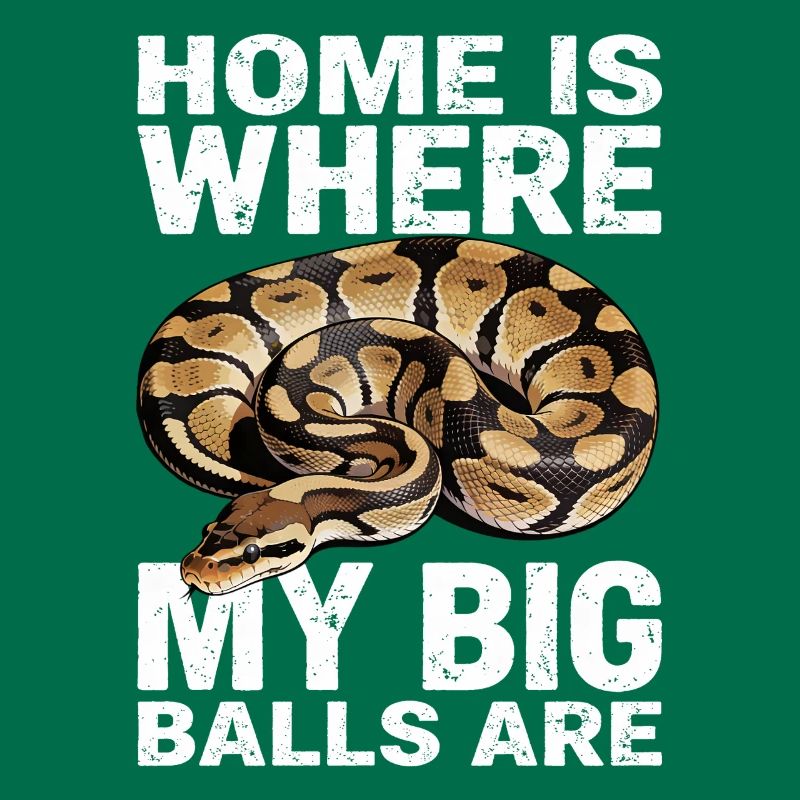 Königspython Schlangen Liebhaber Terrarium Python