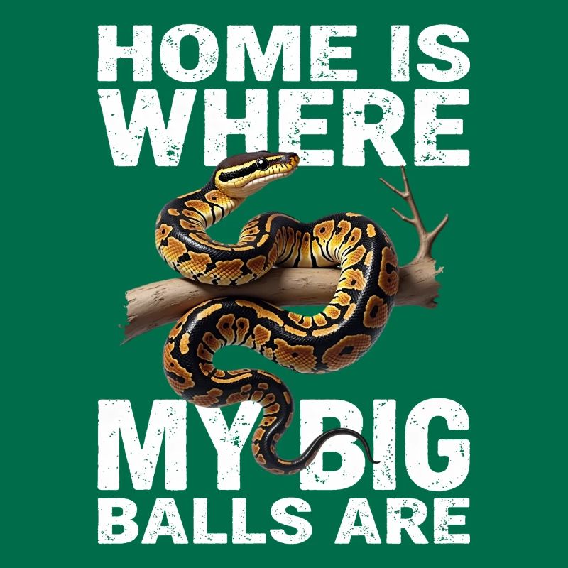 Python roi Serpents Amateurs de terrarium Python