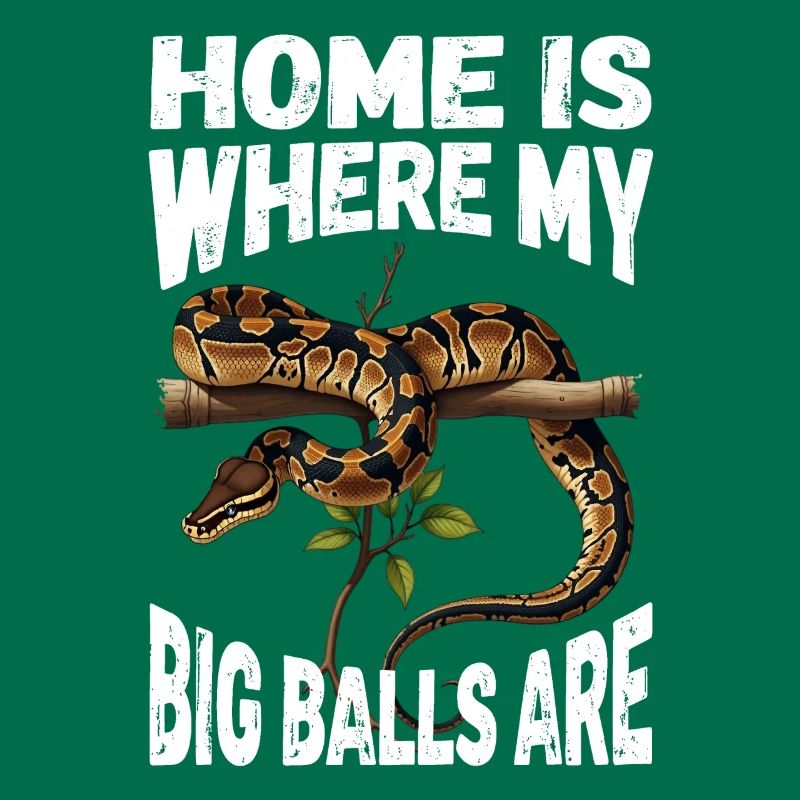 Python roi Serpents Amateurs de terrarium Python