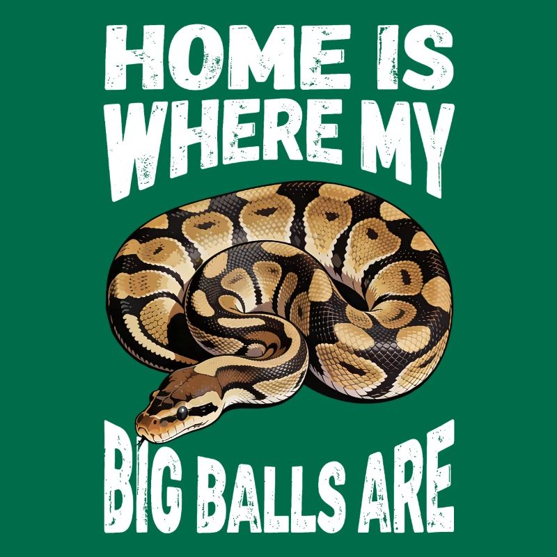 King Python Snakes Lover Terrarium Python